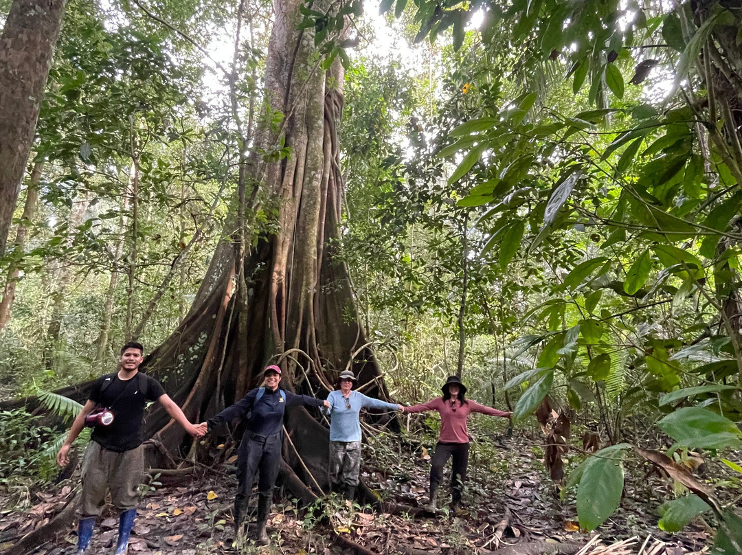 Amazon Jaguar Adventure & Lodge-伊基托斯必去景点