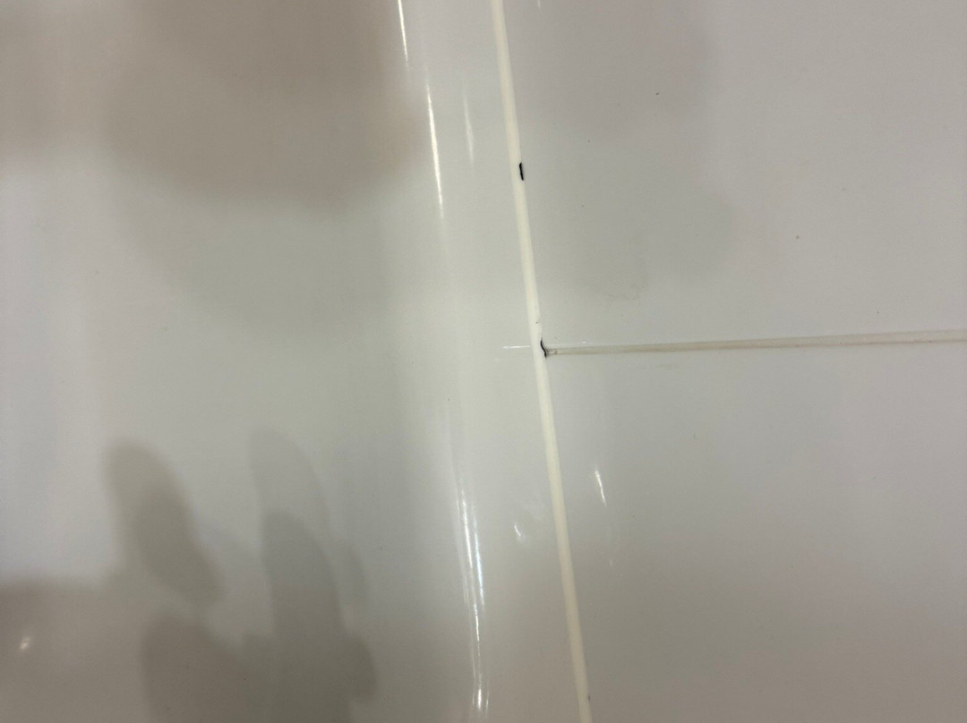 福克斯通普瑞米尔客栈 - 海峡隧道主图