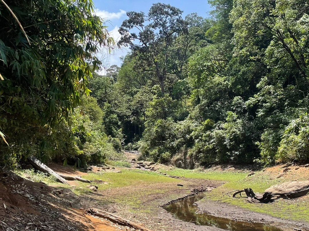 Gavi Forest-帖可迪必去景点