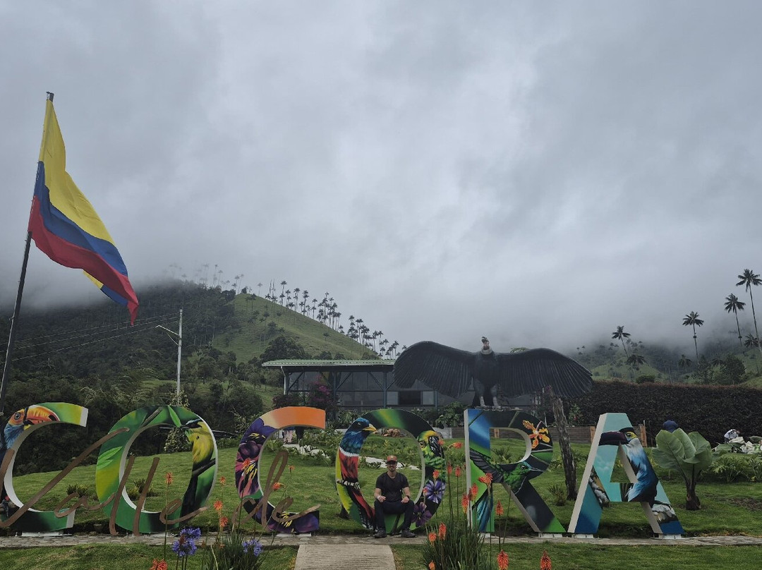 Valle De Cocora-萨伦托必去景点
