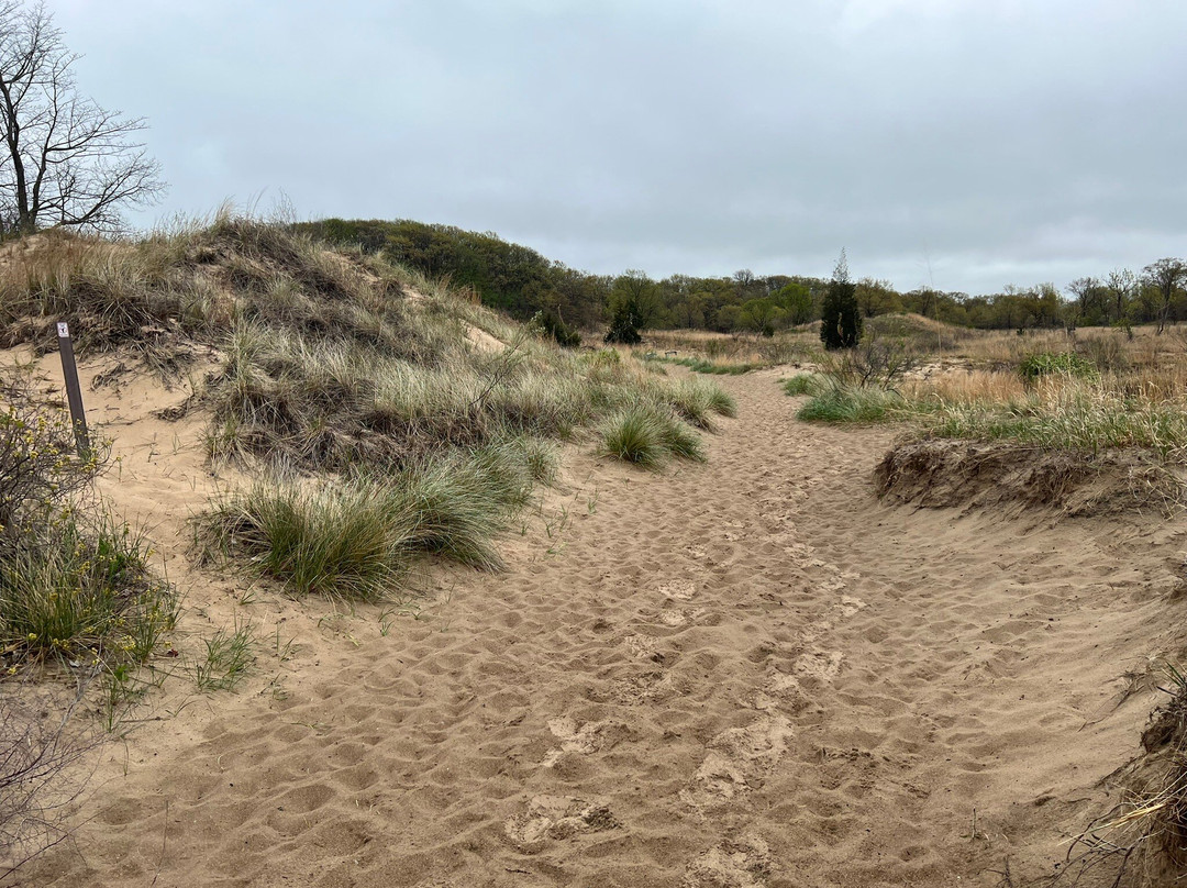 Indiana Dunes National Park-Porter必去景点
