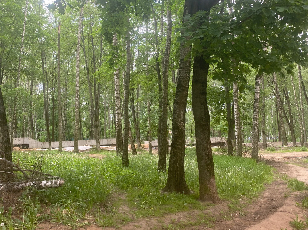 Park Beryozovaya Roshha-Dmitrov必去景点