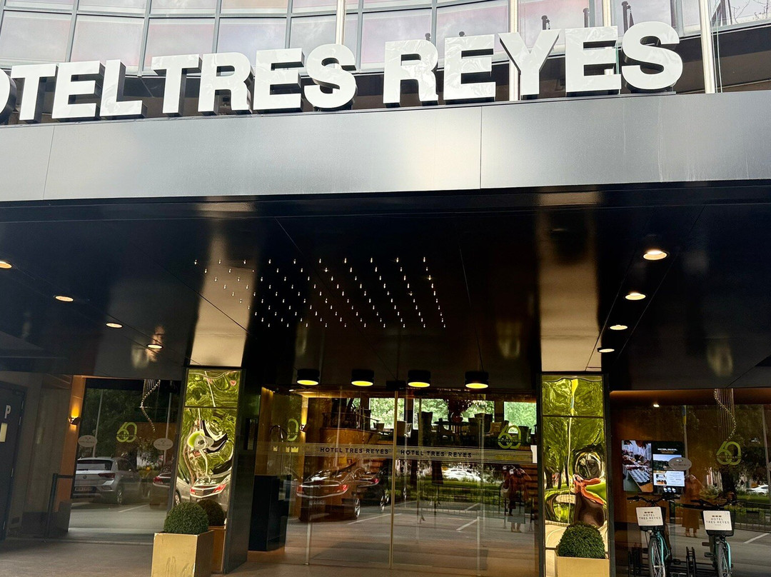 潘普洛纳特雷斯雷耶斯酒店主图