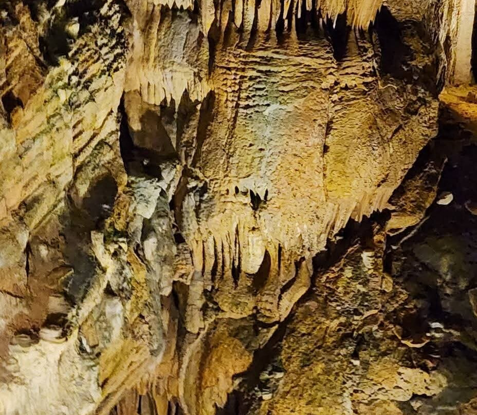 Bristol Caverns-布里斯托尔必去景点