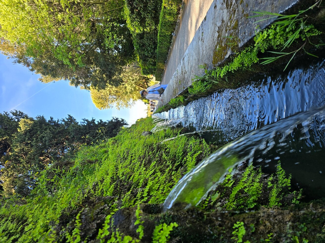 伊斯特别墅-蒂沃利必去景点