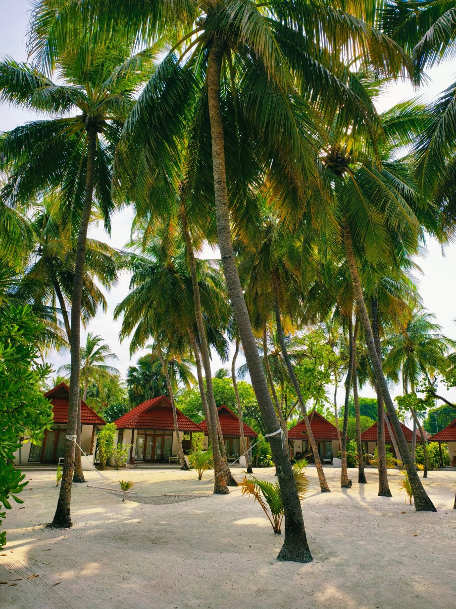马尔代夫库鲁巴酒店-旅行者