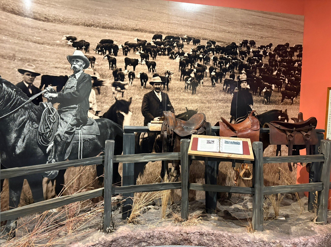 The Journey Museum-拉皮德城必去景点