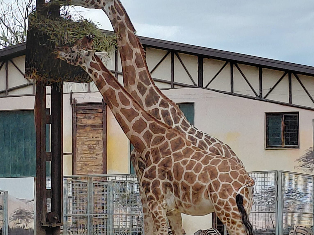 ZOO Bratislava-布拉迪斯拉发必去景点