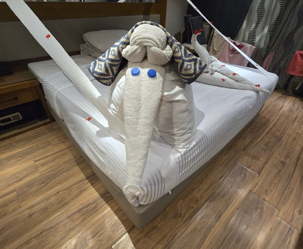 SUNRISE M/S Semiramis III主图