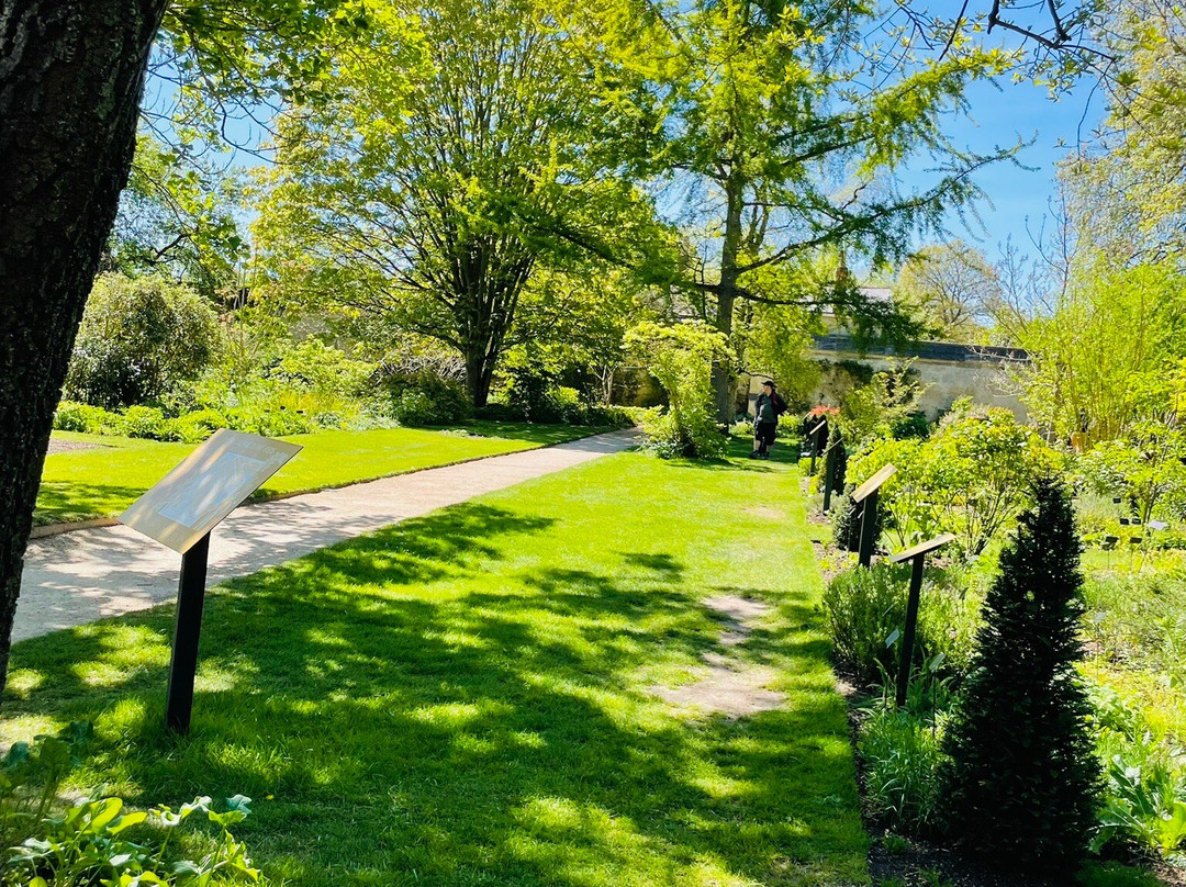 University of Oxford Botanic Garden-牛津必去景点