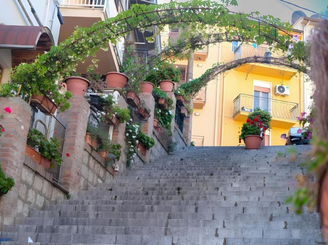 Il Cortile