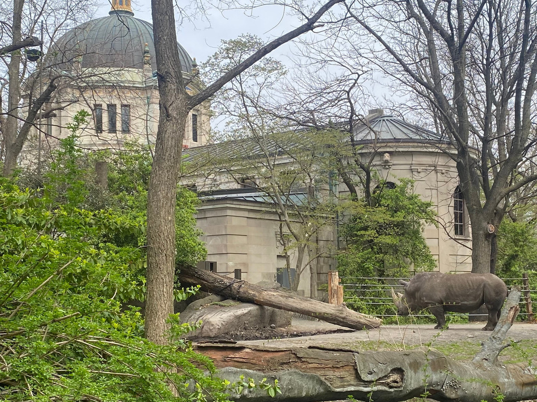 Bronx Zoo-布朗克斯必去景点