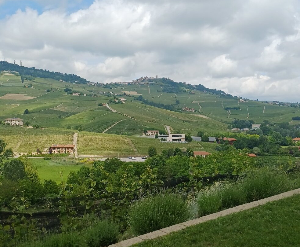 Azienda Agricola Cascina Pugnane S.S. dei F.lli Ghisolfi-Castiglione Falletto必去景点