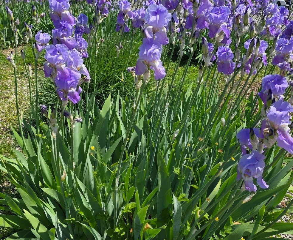 Lac du Bourget-艾克斯莱班必去景点