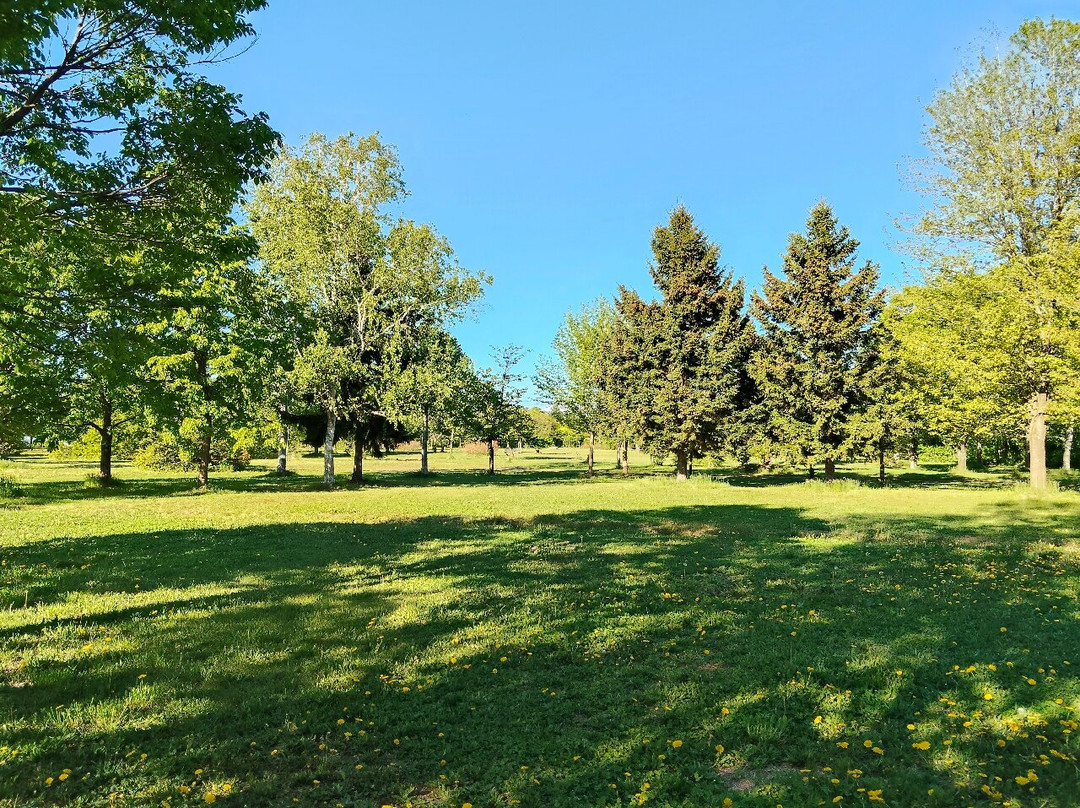 Ikoinomori Park-浦臼町必去景点