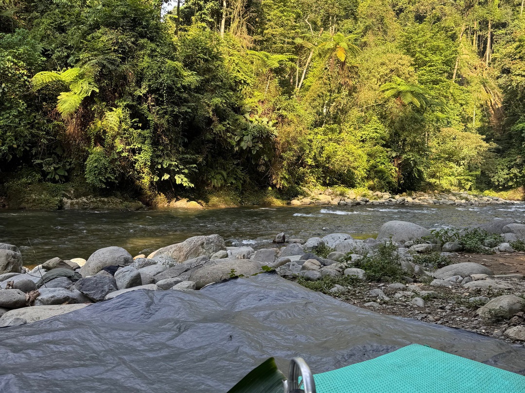 Sumatra Tour Adventures-武吉拉旺必去景点