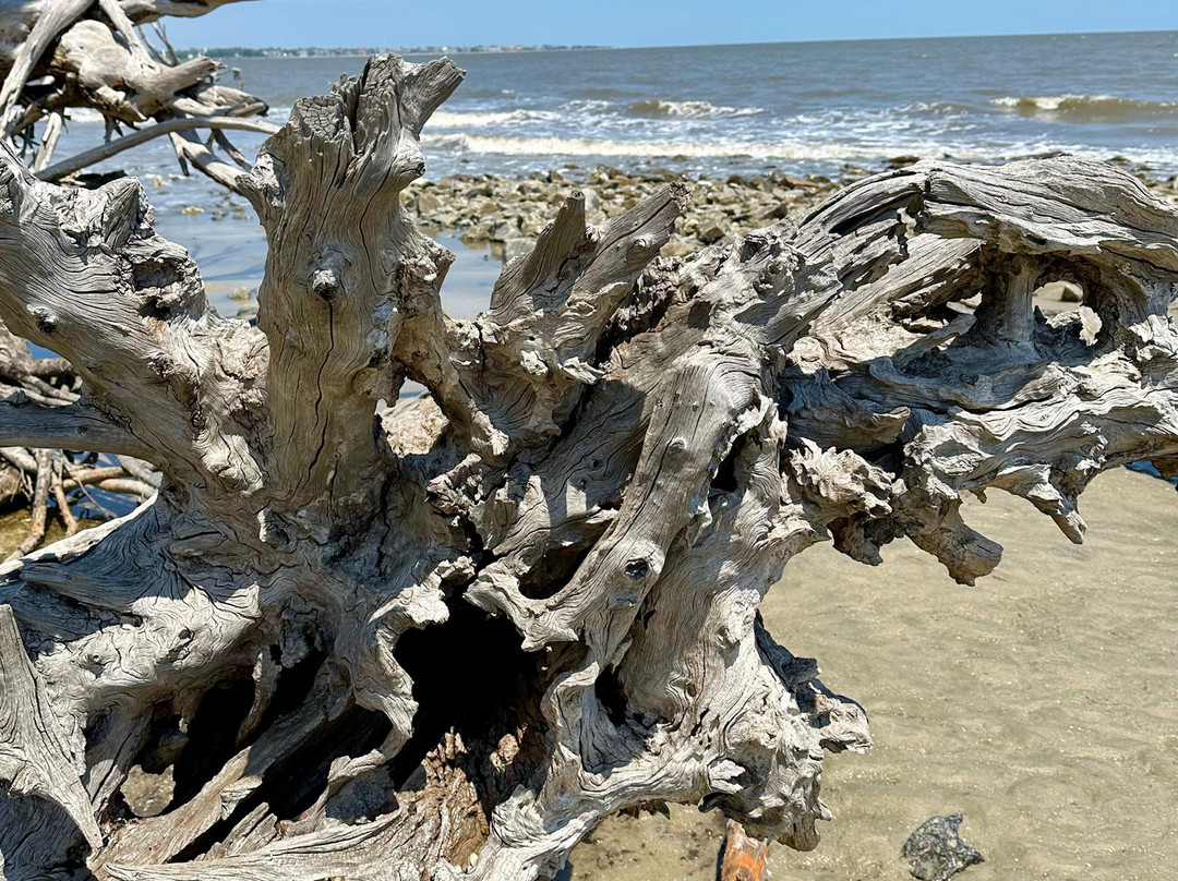 Driftwood Beach-吉柯岛必去景点