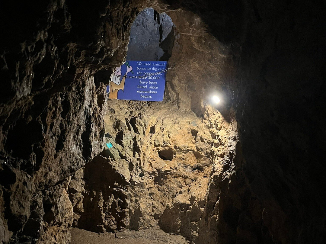 Great Orme Mines-兰迪德诺必去景点