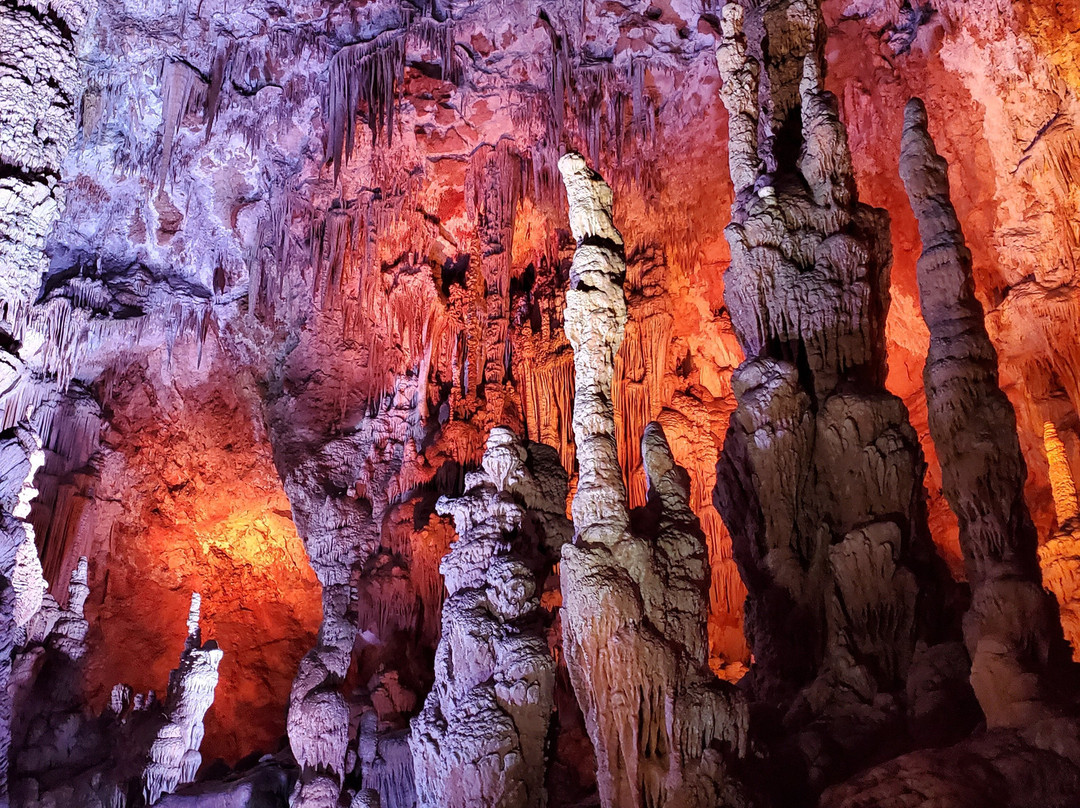 Grotte de la Salamandre-Mejannes-le-Clap必去景点