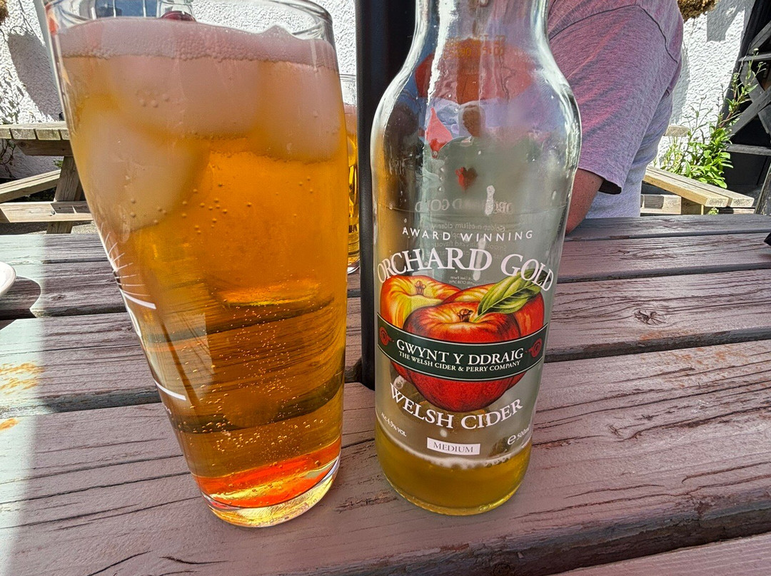 The Railway Inn-Abergynolwyn必去景点