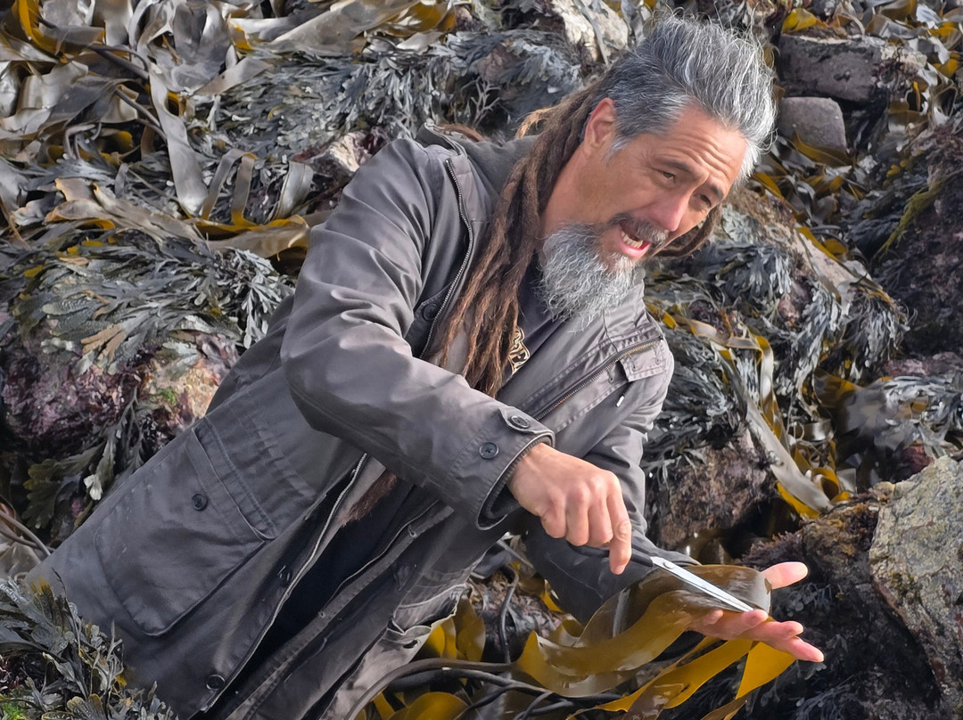 East Neuk Seaweed-St Monans必去景点