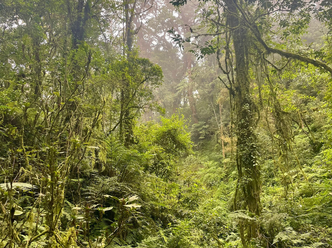 Mount Rungwe-Tukuyu必去景点