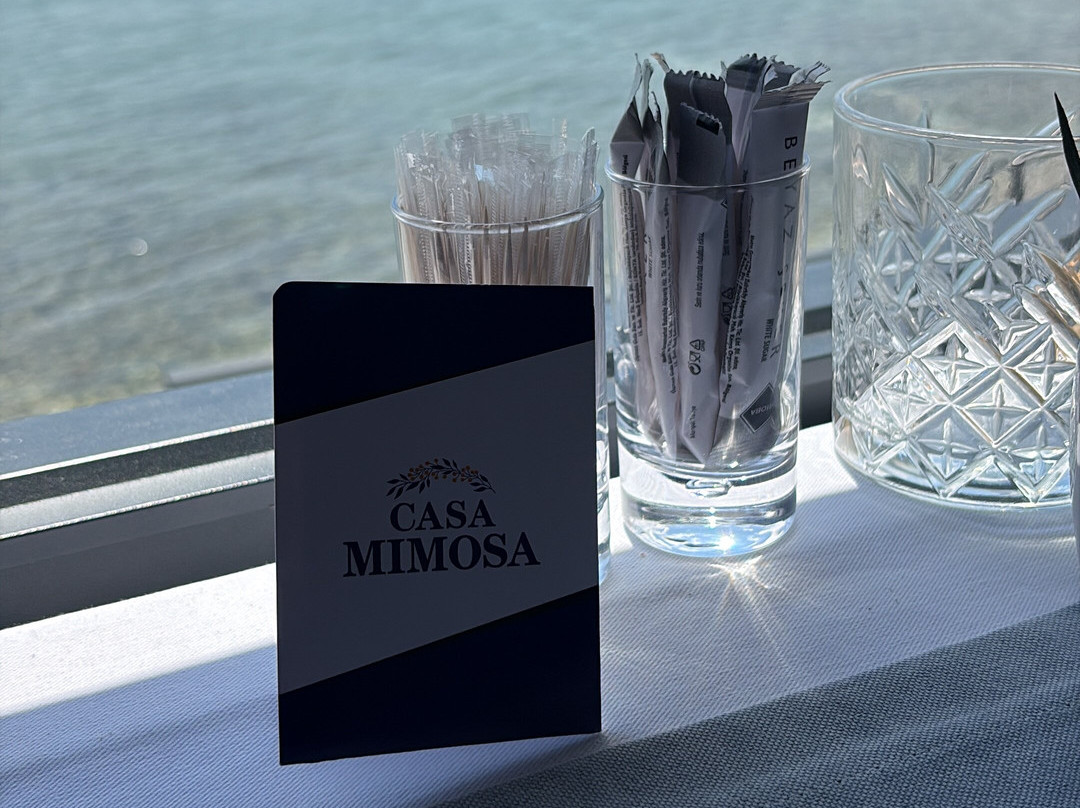 Casa Mimosa Suite Hotel主图
