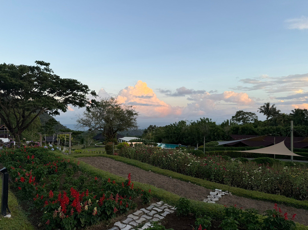 Ilaya Highland Resort-锡莱市必去景点