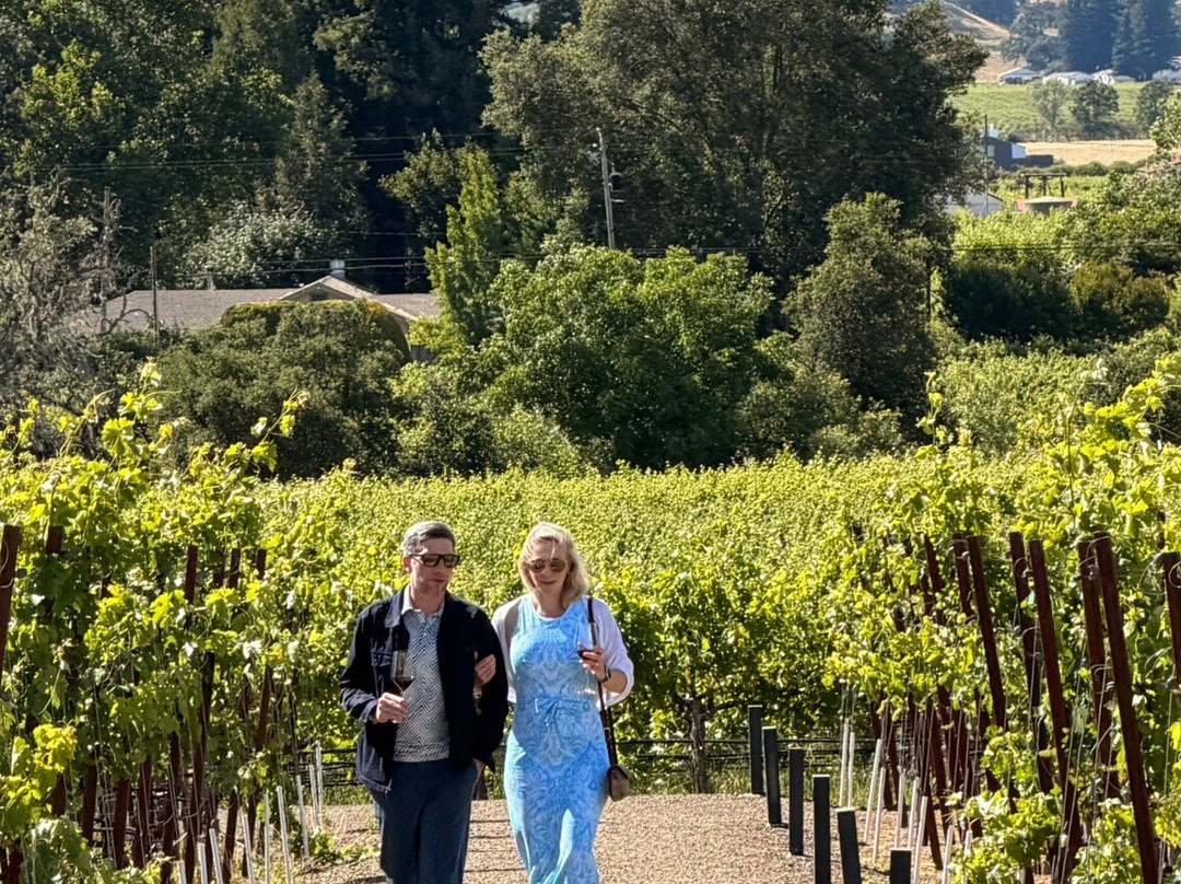 Silver Oak Cellars-奥克维尔必去景点