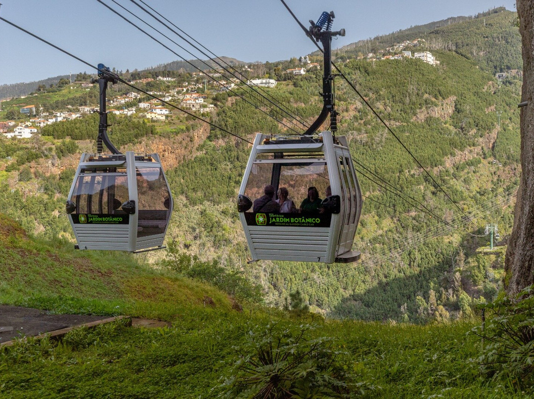 Botanical Garden Cable Car-沙尔必去景点