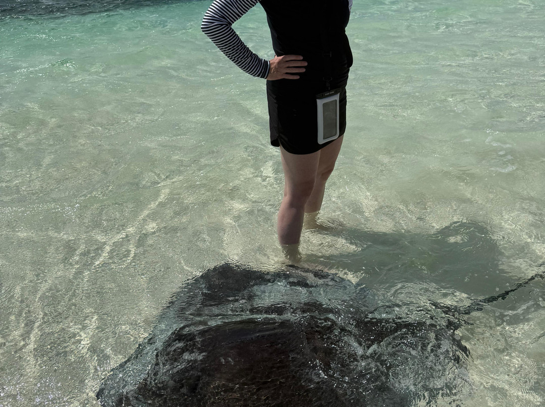 True Blue Charters | Spanish Wells Bahamas Guide-Spanish Wells必去景点