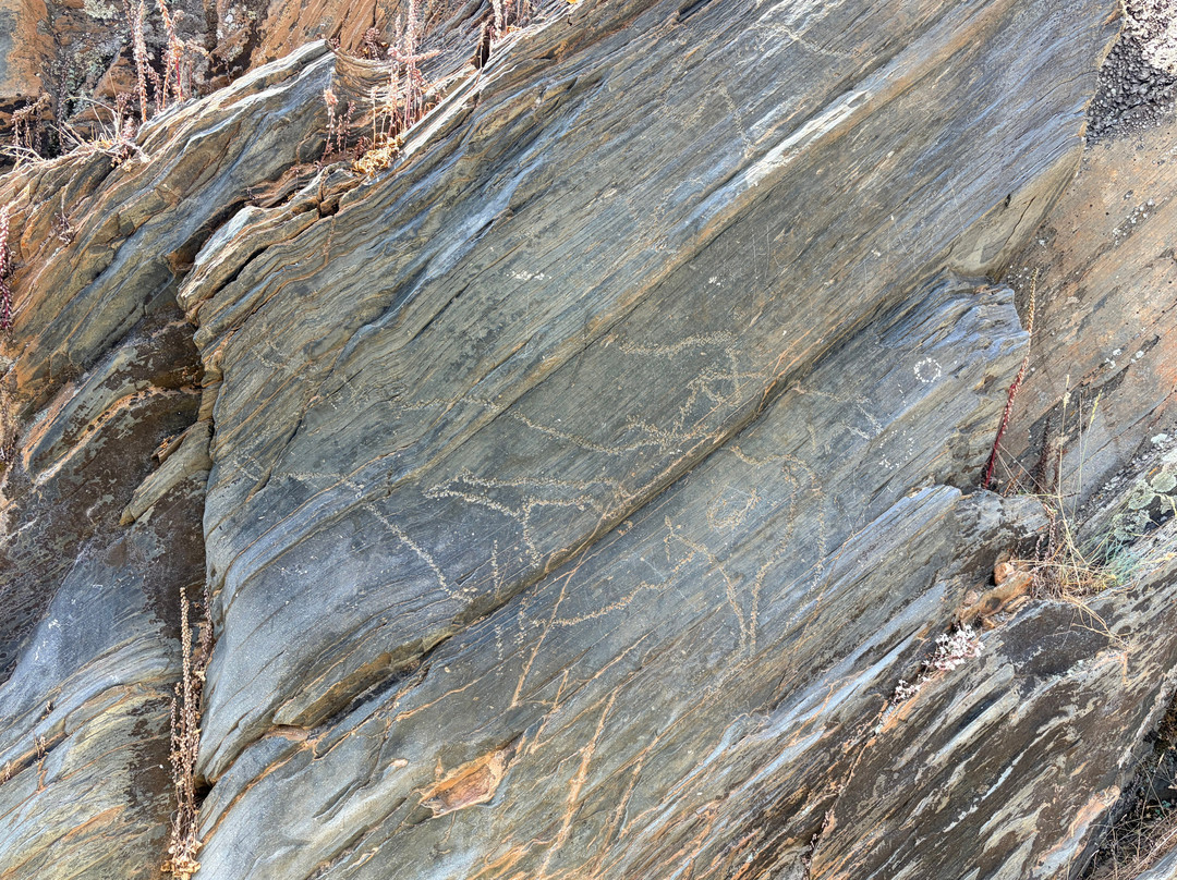 Siega Verde Archaeological Site-Serranillo必去景点