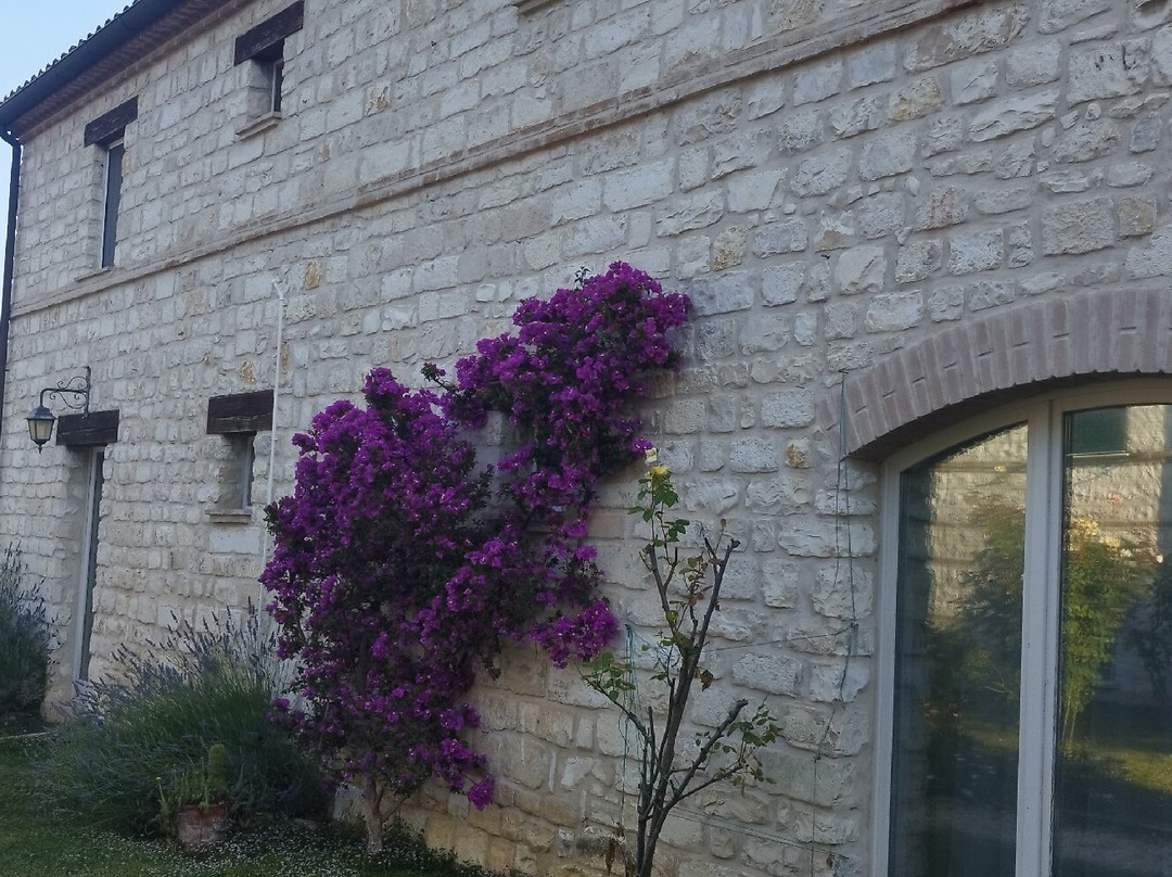 Valcastagno Relais & Residence主图