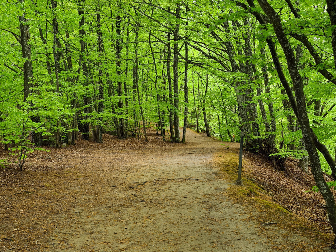 Forsakar Nature Reserve-Degeberga必去景点