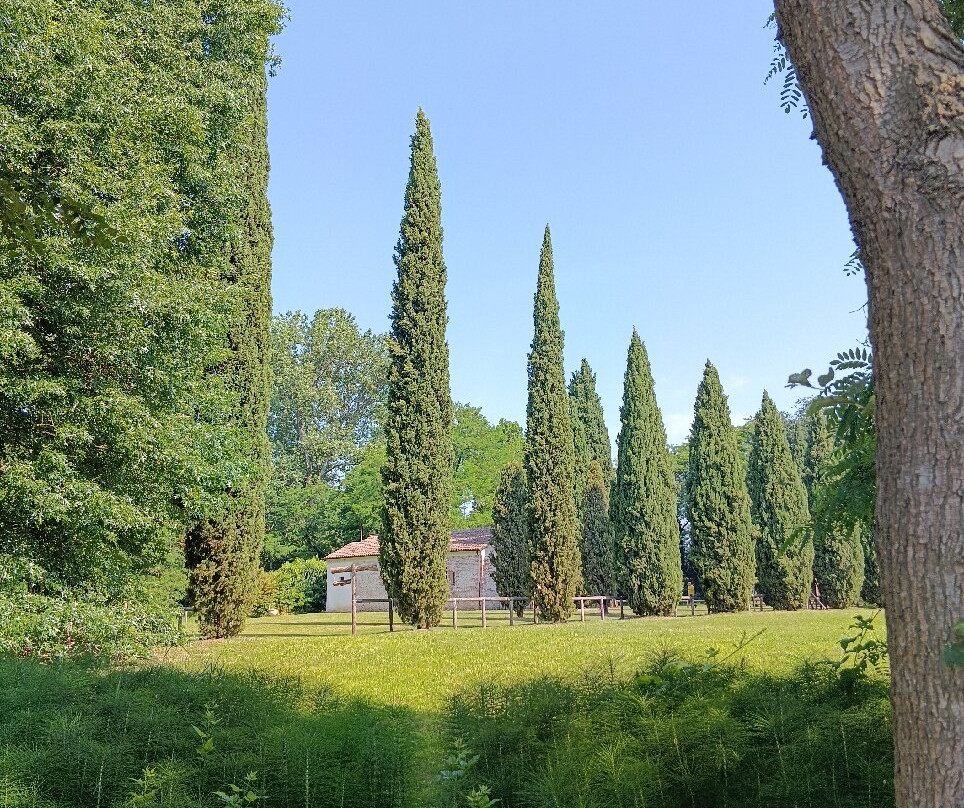 Parco Palude di Onara-Onara必去景点