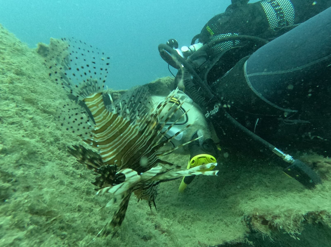 Active Blue Diving Center-库萨达斯必去景点