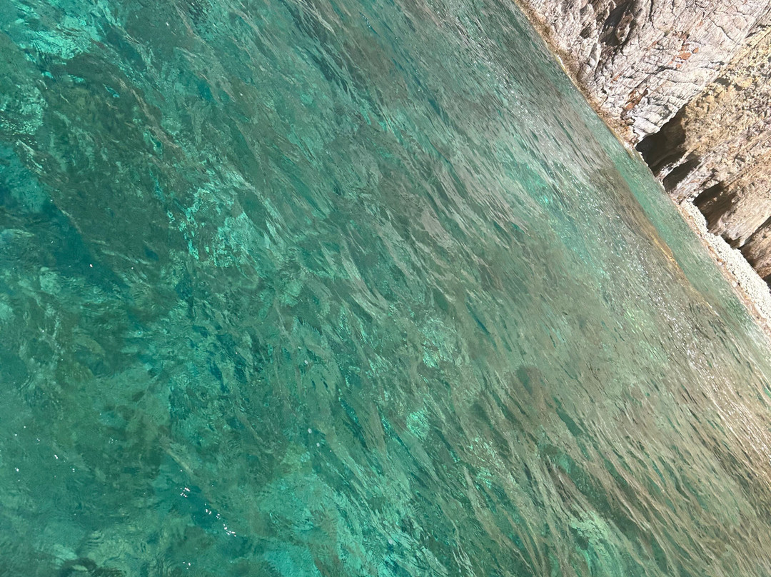 Beluga - Day Tours-Ponza Island必去景点