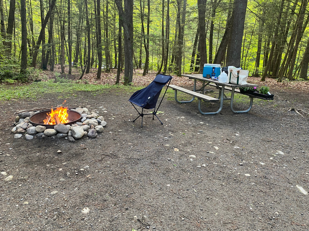 American Legion and Peoples State Forests-Barkhamsted必去景点
