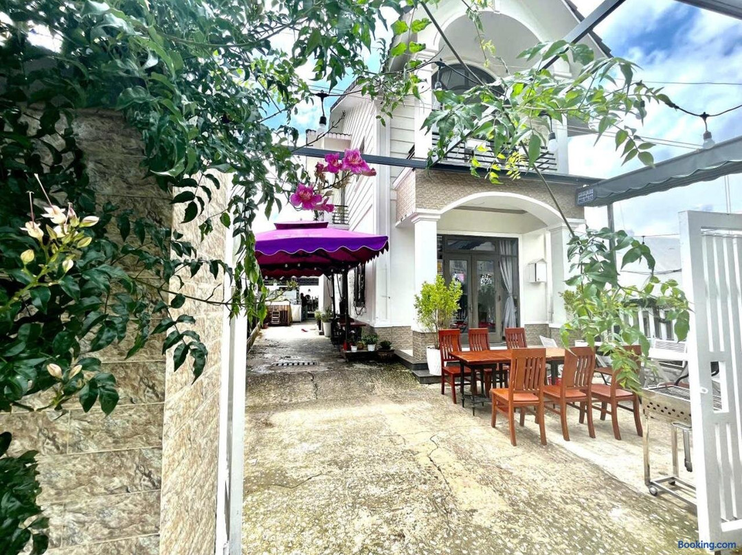 Homestay Dalmatians