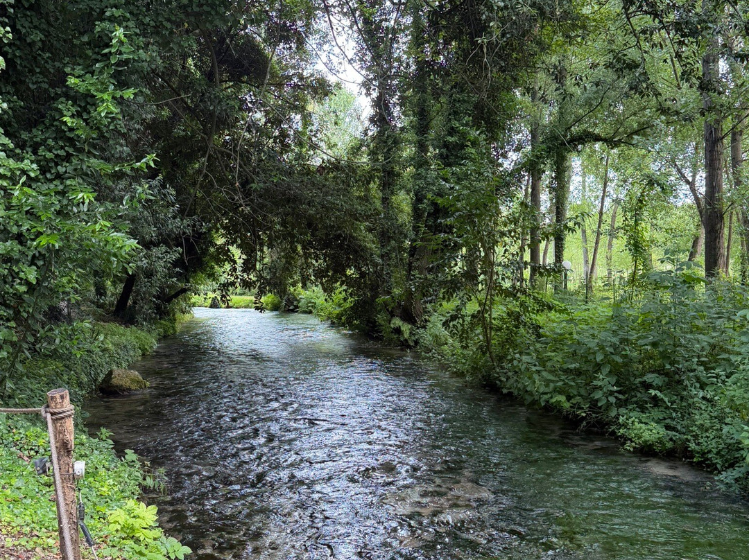 Il Bosco delle Favole-卡西诺必去景点