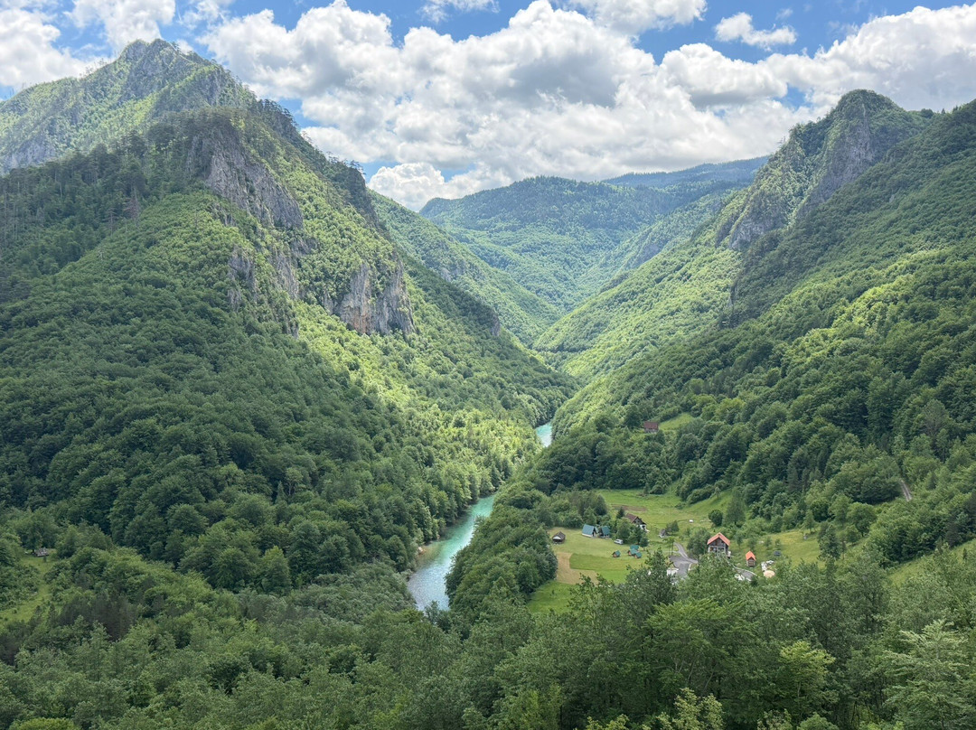 Tara River Canyon-Dobrilovina必去景点