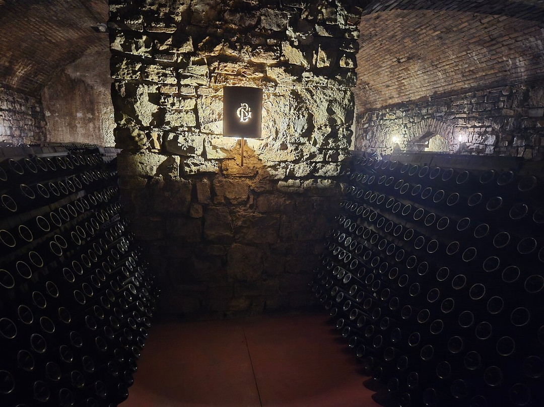 Cantine Berlucchi