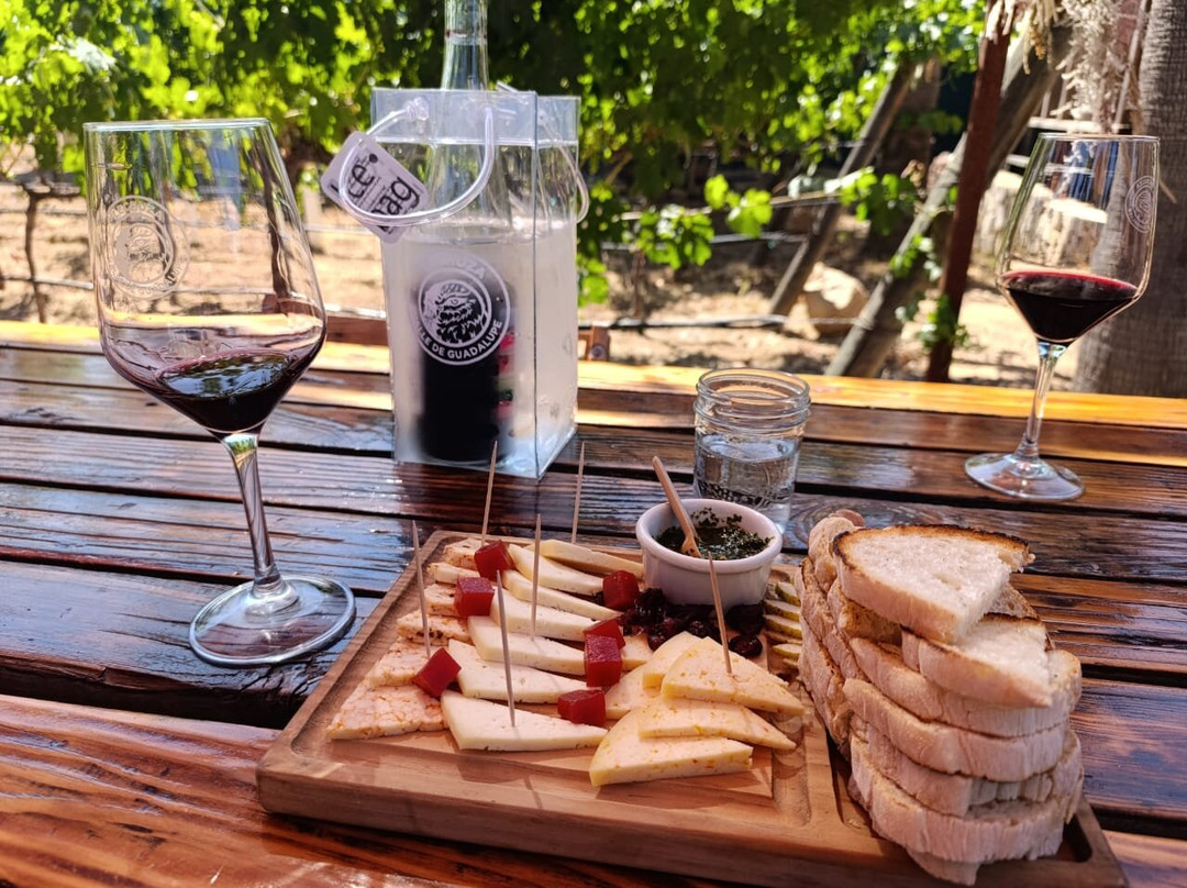 Lechuza Vineyard-Valle de Guadalupe必去景点