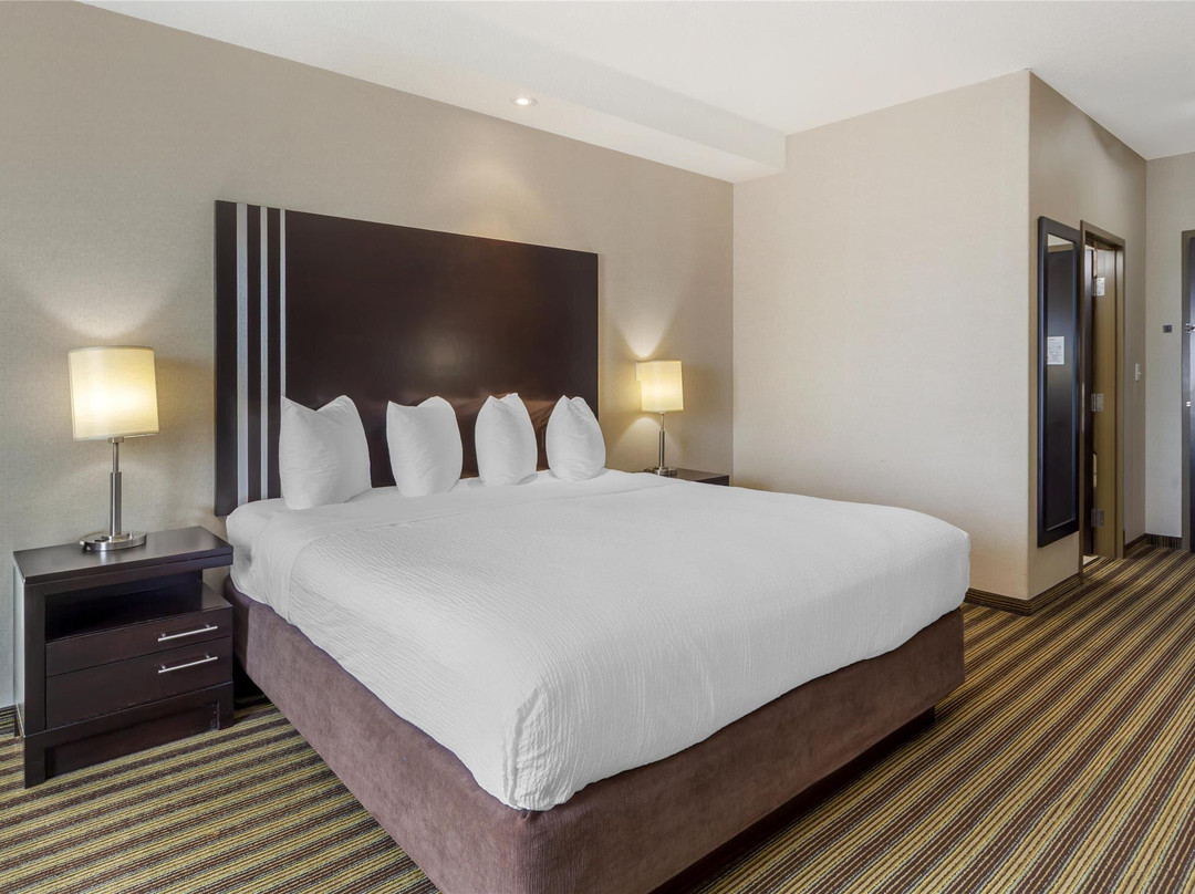 舍伍德公园酒店住宿-Best Western Plus Sherwood Park