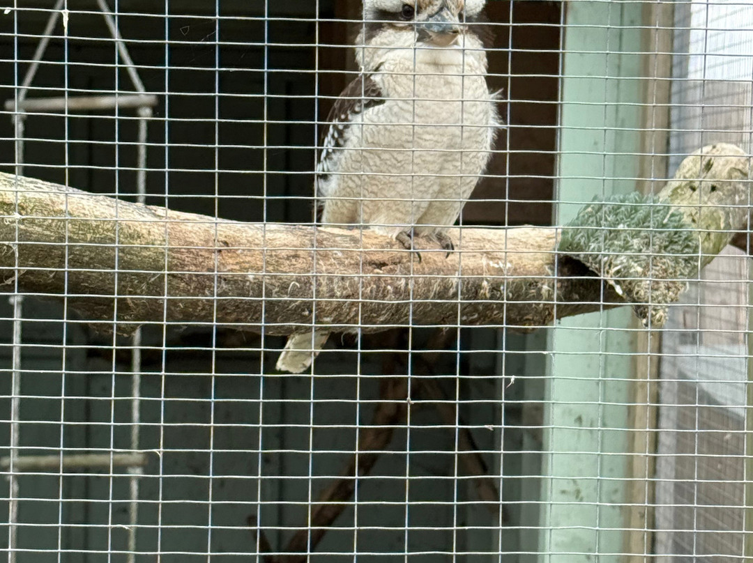 Holmes Chapel Zoo-Holmes Chapel必去景点