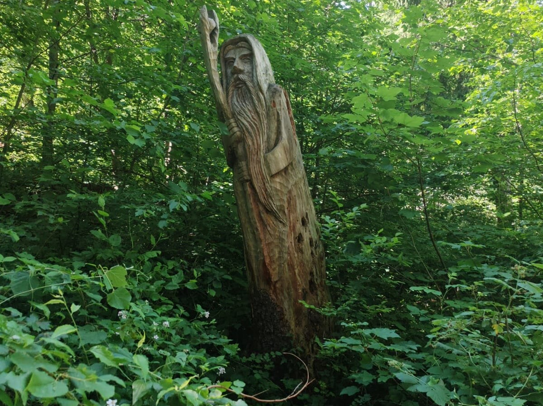 Sentiero Spirito del Bosco-Canzo必去景点
