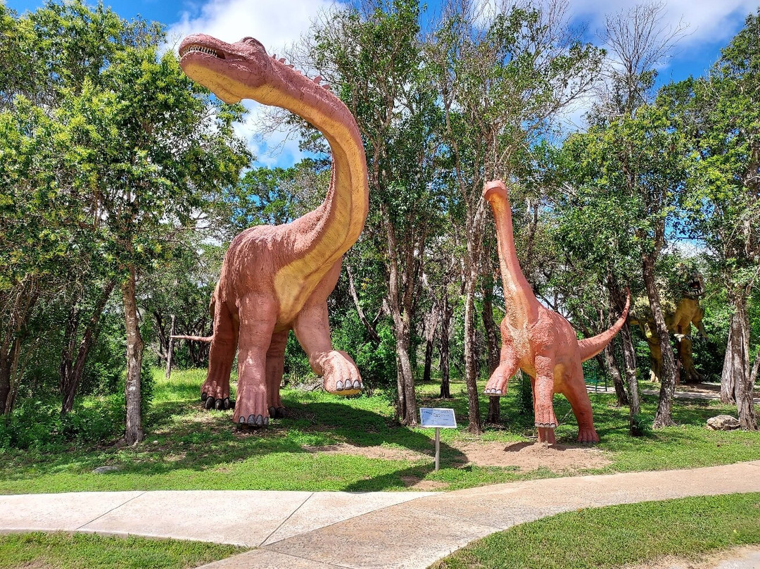 Bandera Natural History and Art Museum-Bandera必去景点
