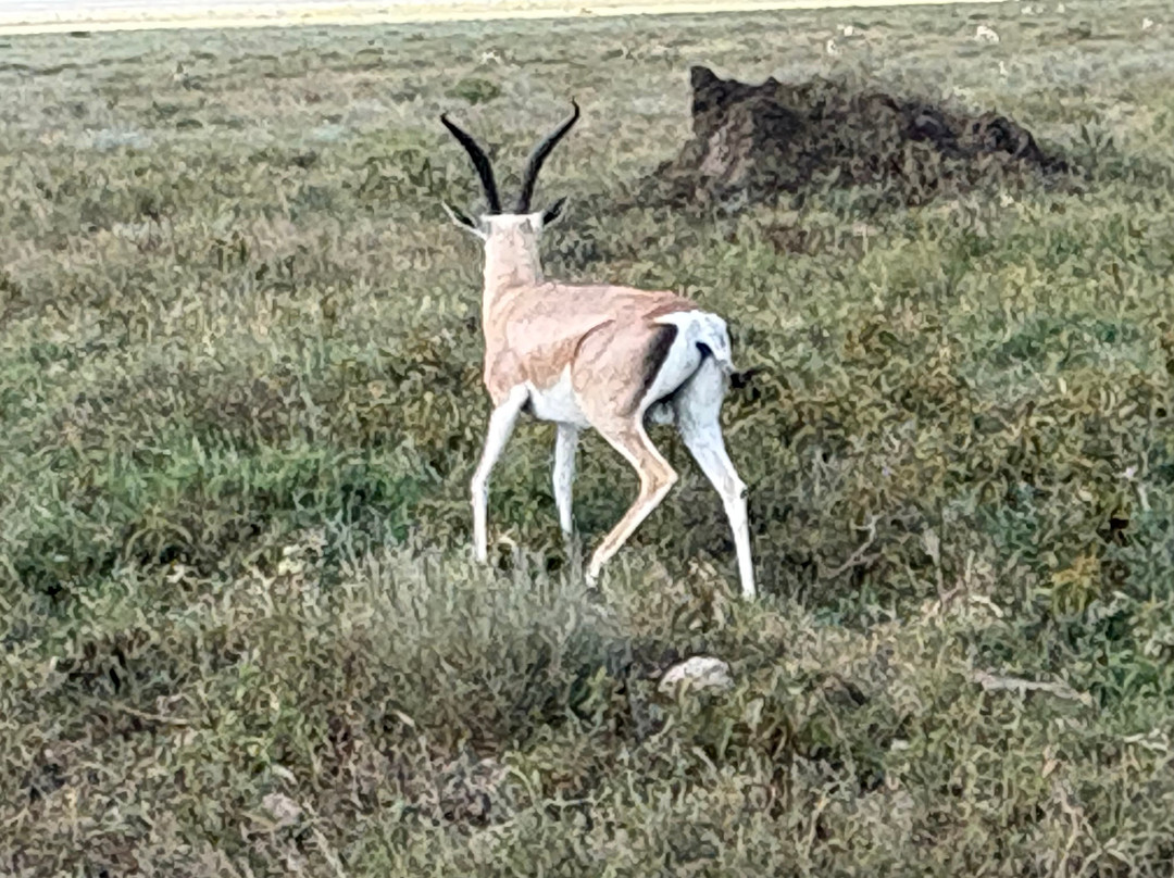 Tanzania-Experience-阿鲁沙必去景点