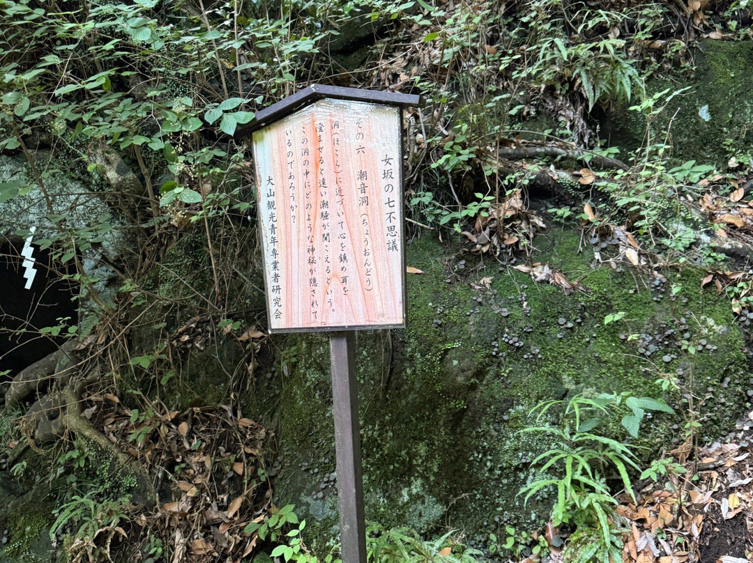 Isehara City Sports Park-伊势原市必去景点
