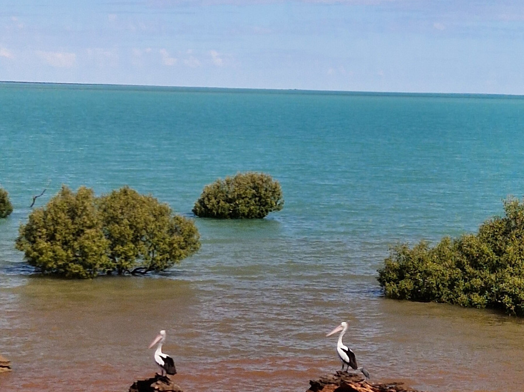 Broome Bird Observatory-布鲁姆必去景点